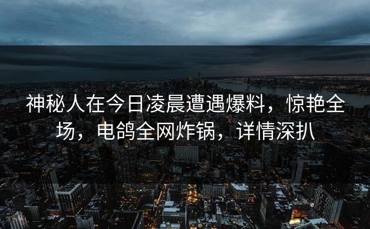 神秘人在今日凌晨遭遇爆料，惊艳全场，电鸽全网炸锅，详情深扒