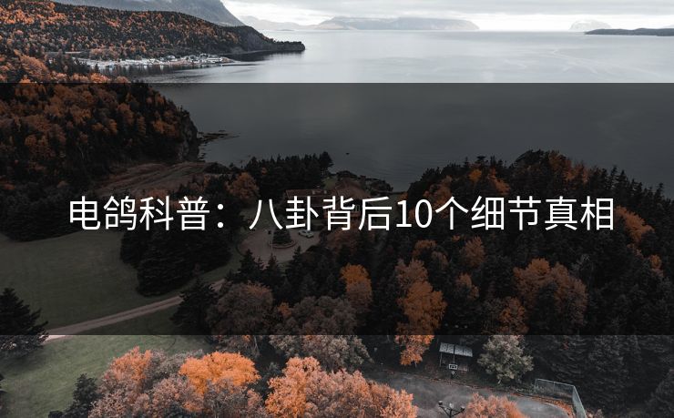电鸽科普：八卦背后10个细节真相