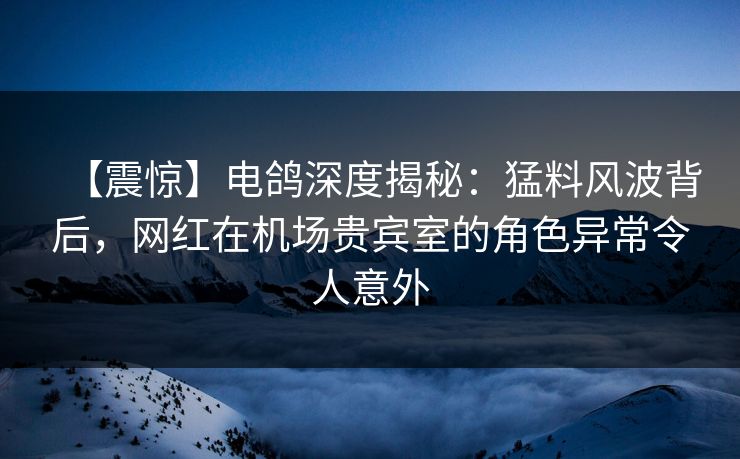 【震惊】电鸽深度揭秘：猛料风波背后，网红在机场贵宾室的角色异常令人意外