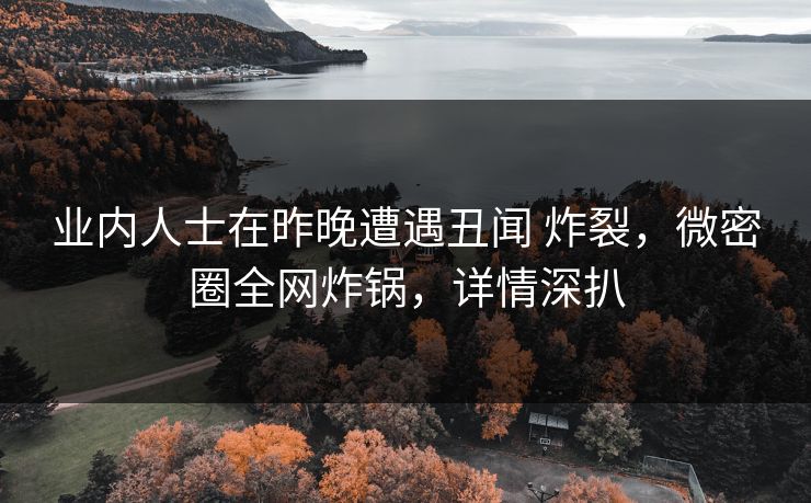 业内人士在昨晚遭遇丑闻 炸裂，微密圈全网炸锅，详情深扒