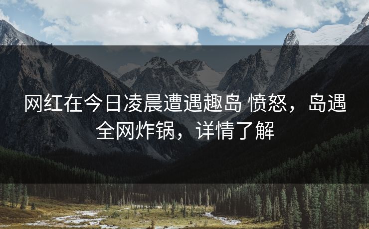 网红在今日凌晨遭遇趣岛 愤怒，岛遇全网炸锅，详情了解