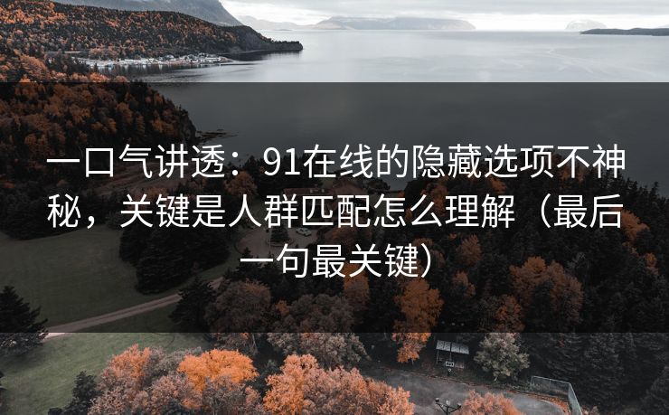 一口气讲透:91在线的隐藏选项不神秘,关键是人群匹配怎么理解(最后一句最关键)