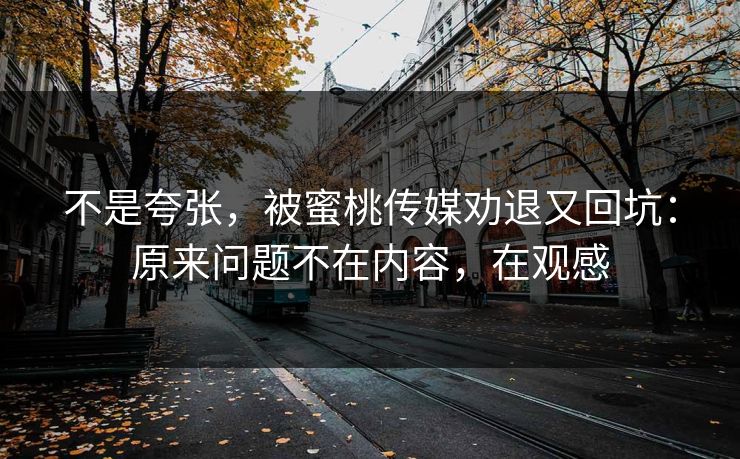 不是夸张,被蜜桃传媒劝退又回坑:原来问题不在内容,在观感 不是夸张,被蜜桃传媒劝退又回坑:原来问题不在内容,在观感
